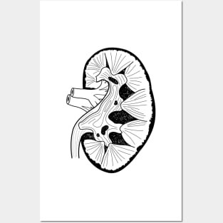 Kidney Line Art large Posters and Art